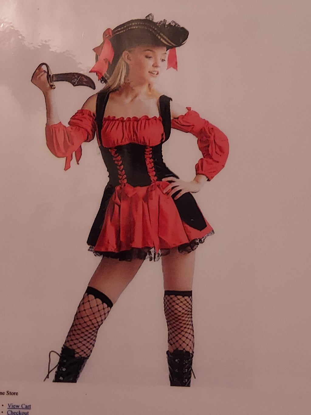 Pirate Wench Costume
