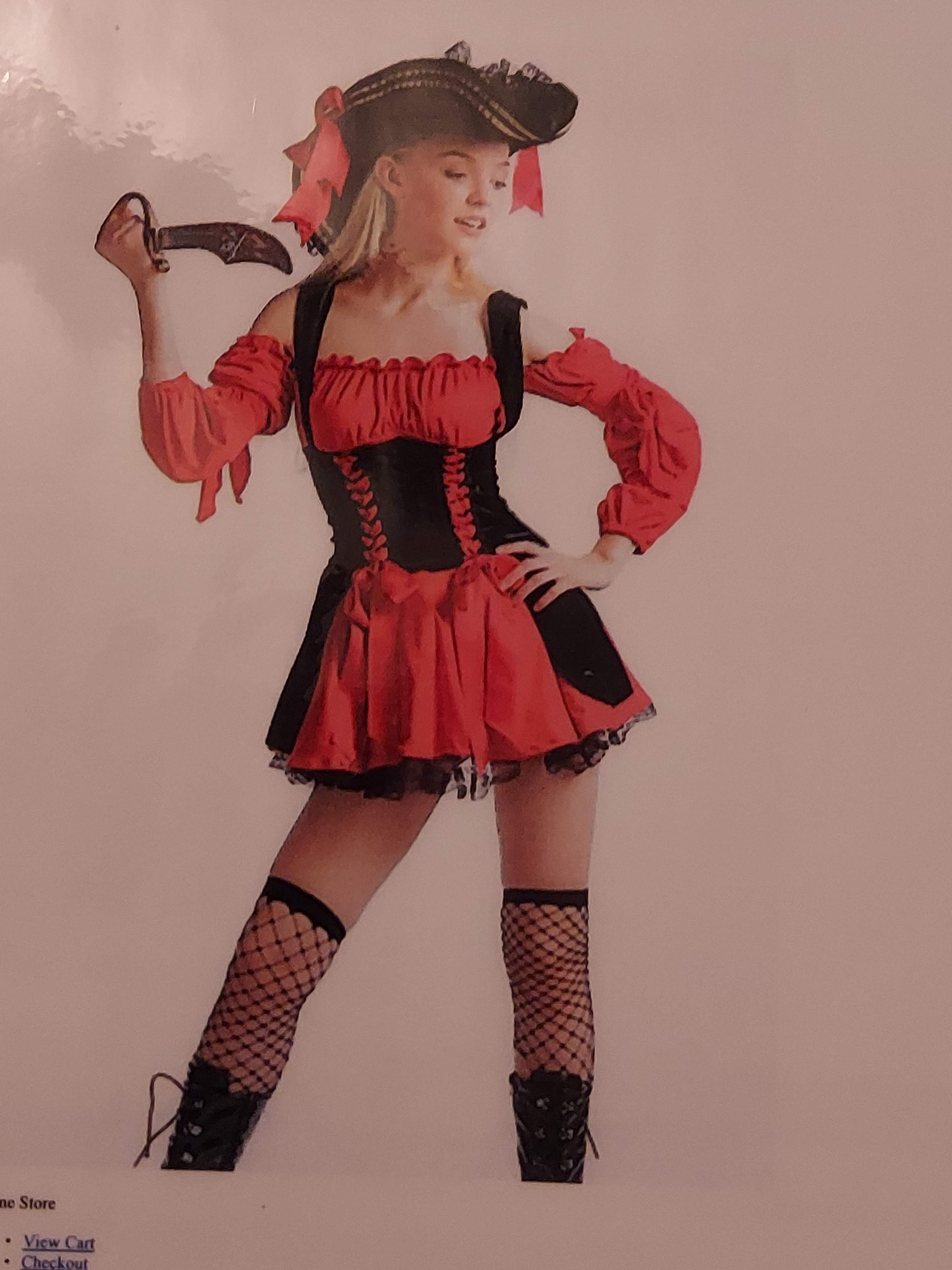 Pirate Wench Costume