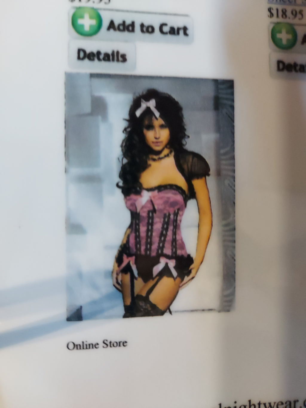 Caberet Corset