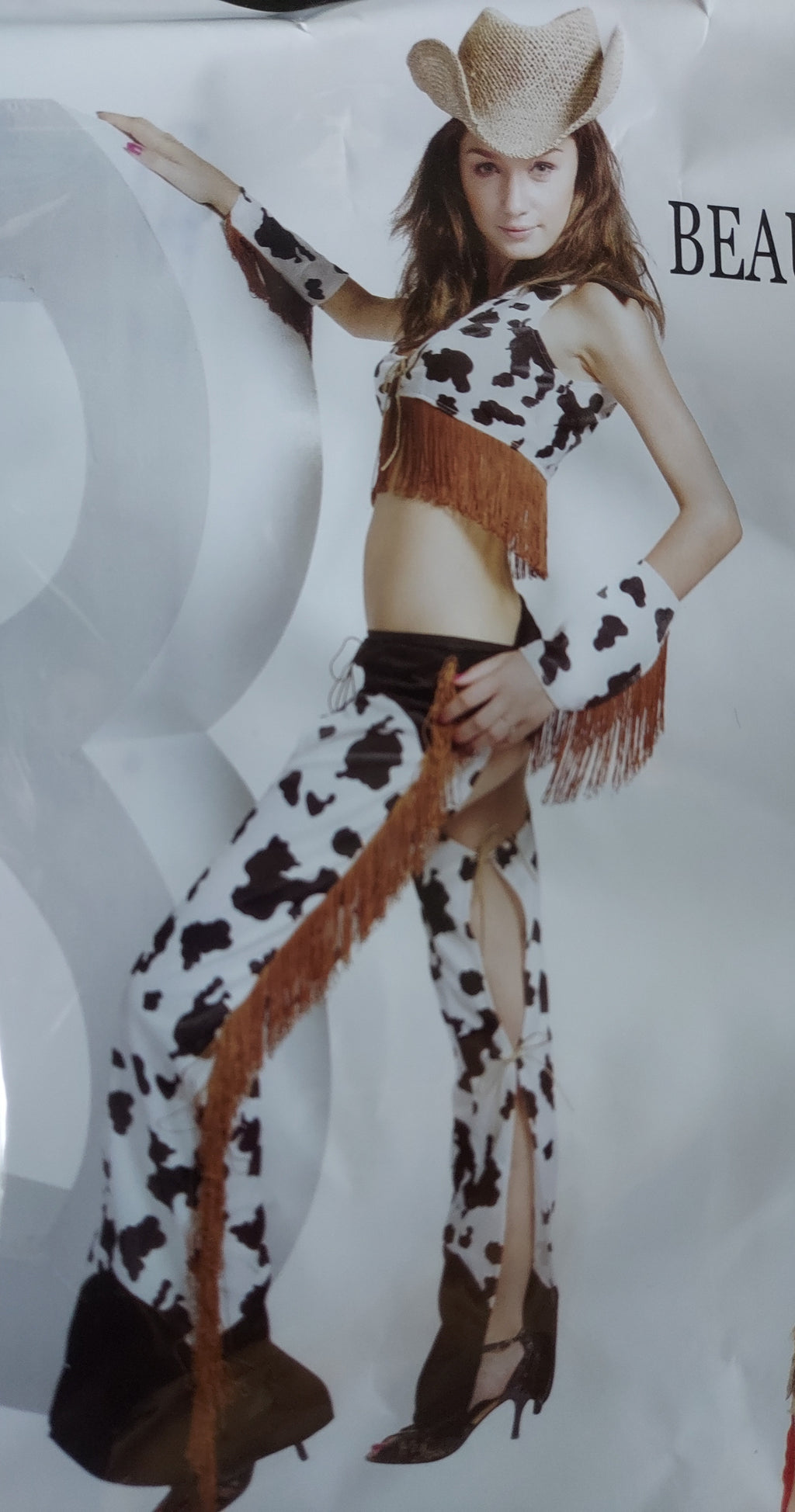 Sexy Cowgirl Costume