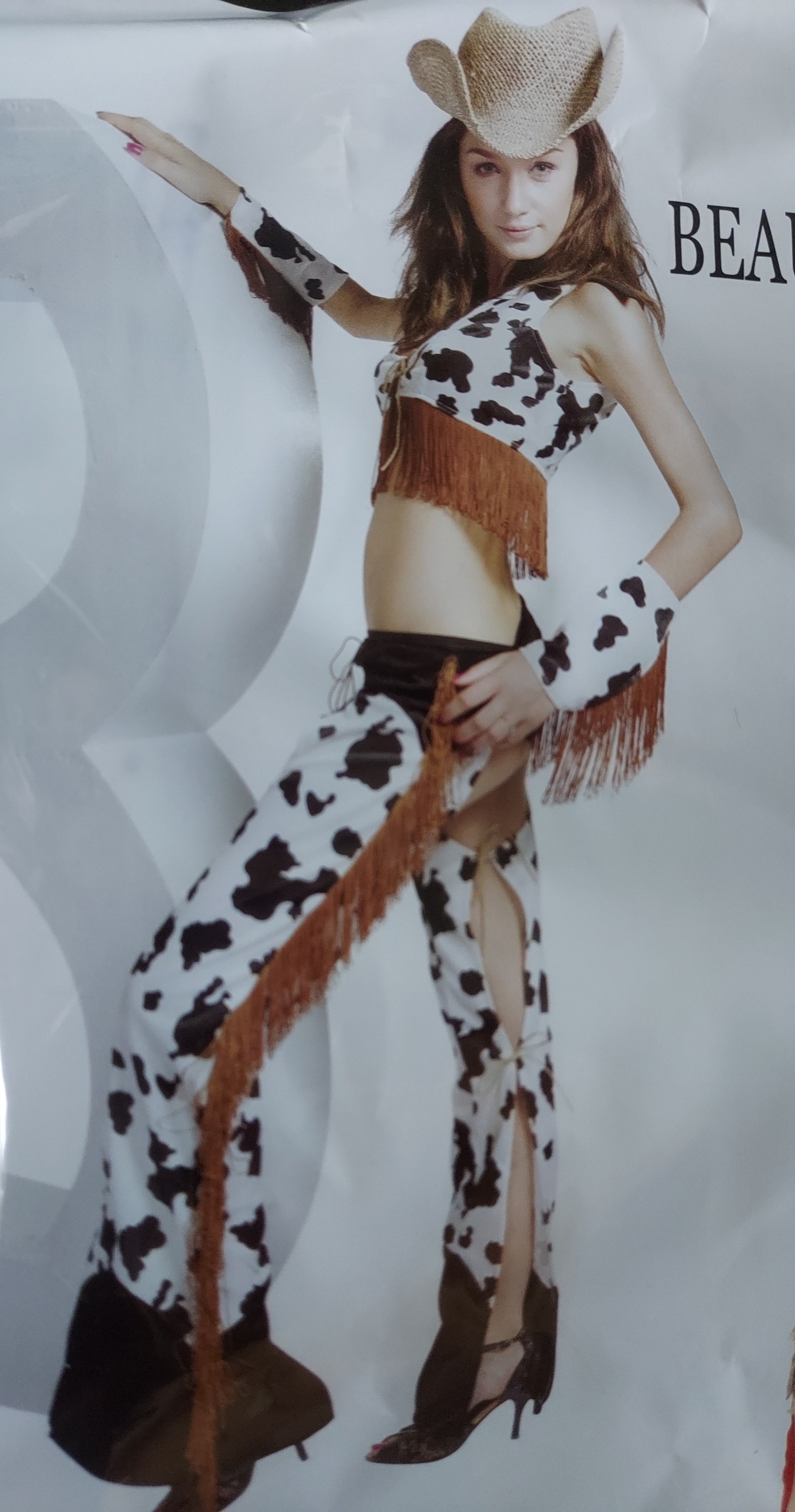 Sexy Cowgirl Costume